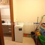 Rent 1 bedroom apartment of 45 m² in Verona