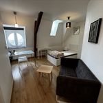 Rent 1 bedroom apartment of 17 m² in Metz