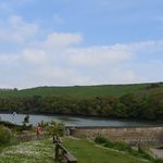 Rent 1 bedroom flat in South Hams