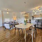 Rent 1 bedroom apartment of 60 m² in Zagreb