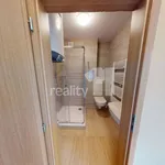 Rent 1 bedroom apartment in Světlá nad Sázavou