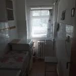 Rent 1 bedroom apartment in Lovnic