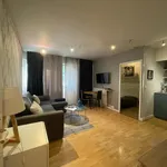 Rent 1 bedroom apartment in Paris