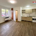 Rent 1 bedroom apartment of 30 m² in Náchod