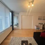 Rent 2 bedroom apartment of 95 m² in Amsterdam