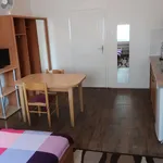 Rent 1 bedroom apartment of 32 m² in Brno