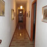 Rent 4 bedroom apartment of 140 m² in Solarino