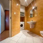 Rent 1 bedroom apartment of 30 m² in Capital city of prague