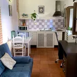 Studio of 34 m² in granada