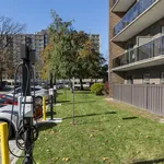 Rent 1 bedroom apartment in Sarnia