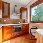 Rent 3 bedroom house of 51 m² in Warszawa