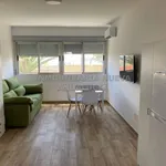 Estudio 
 en alquiler 
 en Urbanización de Roquetas-Las Marinas