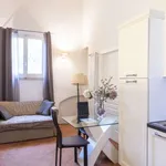 Rent 1 bedroom apartment of 45 m² in rome