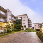 Rent 2 bedroom apartment in Nerang