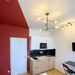 Rent 1 bedroom apartment in Praha 2