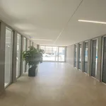 Affitto 3 camera appartamento di 80 m² in Bari