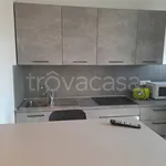 Rent 2 bedroom apartment of 60 m² in Collegno