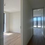 Rent 2 bedroom apartment of 75 m² in haarlem