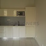 Rent 1 bedroom apartment of 63 m² in Pilsen