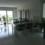 Rent 2 bedroom apartment of 63 m² in Tours