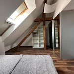 Rent 1 bedroom apartment of 56 m² in Prague