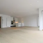 Rent 1 bedroom apartment in Knokke-Heist