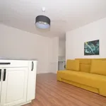 Rent 2 bedroom apartment of 45 m² in Timisoara