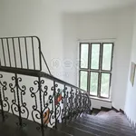 Rent 2 bedroom apartment in Trutnov