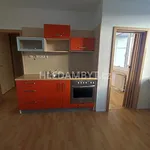 Pronajměte si 1 ložnic/e byt o rozloze 36 m² v Capital City of Prague