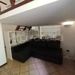 Rent 1 bedroom apartment of 40 m² in Milano