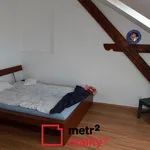 Rent 1 bedroom apartment in Šternberk