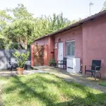 Rent 1 bedroom apartment of 45 m² in rome