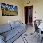 Rent 3 bedroom apartment of 83 m² in Cremona