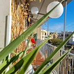 Rent 2 bedroom apartment of 80 m² in Roma