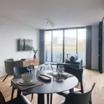 Rent 1 bedroom apartment in lisbon