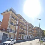 Rent 4 bedroom apartment of 80 m² in Ancona