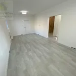 Pronájem bytu 2+1 54m²