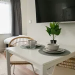 Rent 1 bedroom apartment of 28 m² in The Hague