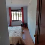 Rent 2 bedroom apartment in porto