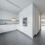 Rent 2 bedroom apartment of 39 m² in Zurich