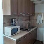 Rent 2 bedroom apartment of 40 m² in Lovnic