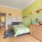 Pronájem bytu 5+1 187m²