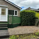 Bungalow to rent in Crofts Avenue, Corbridge NE45