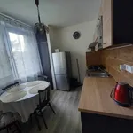 Rent 1 bedroom apartment of 34 m² in Brno