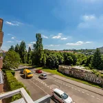 Rent 2 bedroom apartment of 63 m² in stresovice