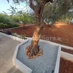 Two-family villa via Papa Giovanni XXIII 575, Ostuni