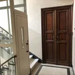 Rent 1 bedroom apartment of 45 m² in Torino