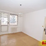 Rent 1 bedroom apartment of 33 m² in Brno