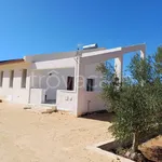 Rent 1 bedroom house of 55 m² in Marsala