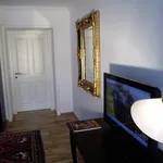 Rent 1 bedroom apartment in Vienna